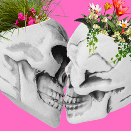 Skulls with plants facing each other.