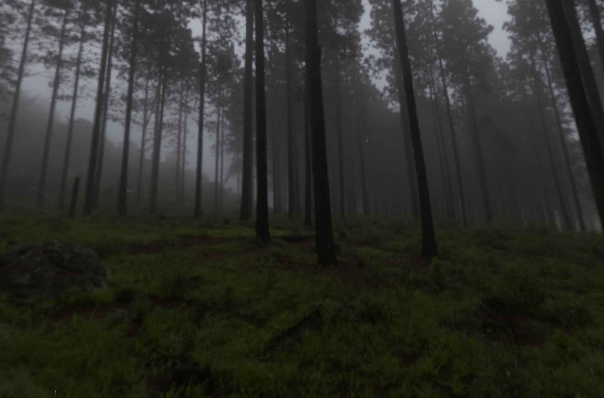 Image from Ordinary Gesture