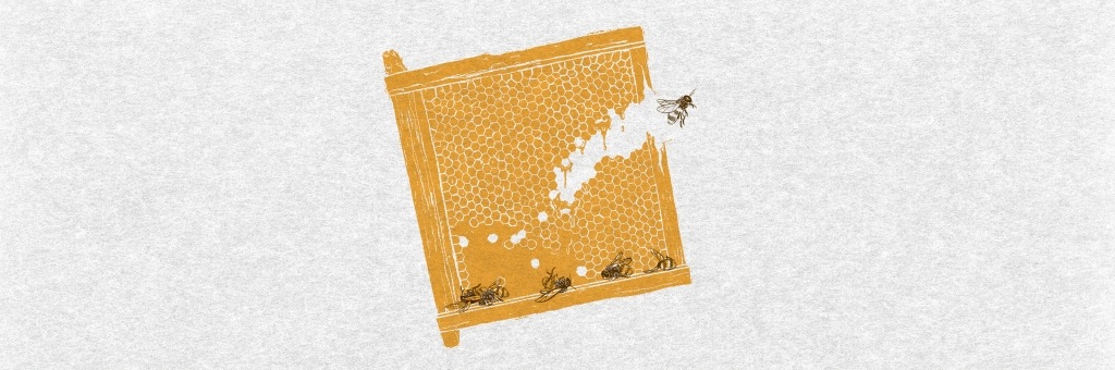 Golden honeycomb frame with bees flying around it.