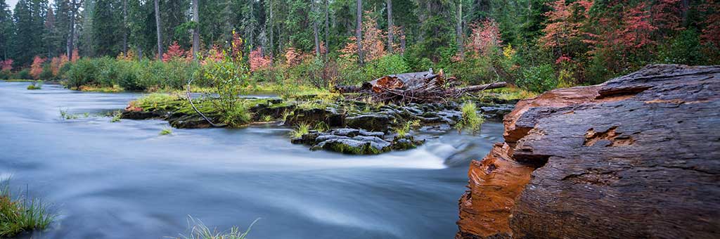 Land Acknowledgement