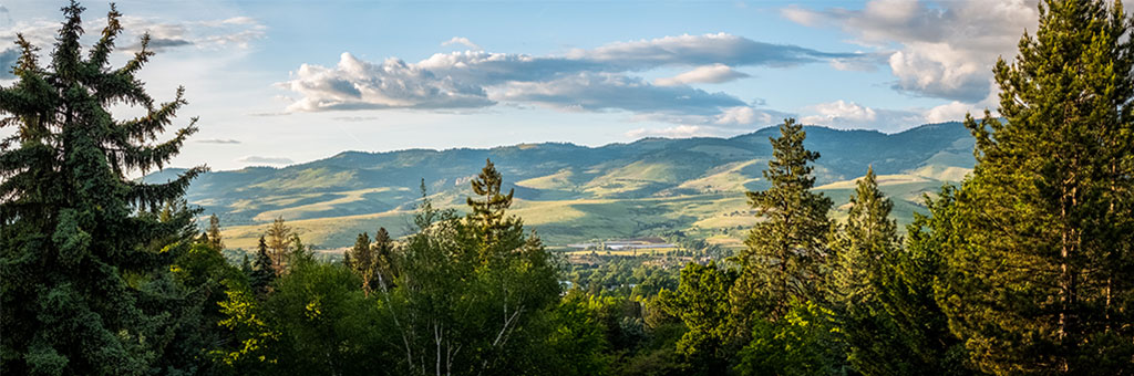 View of mountains in the distance with trees in the forefront.