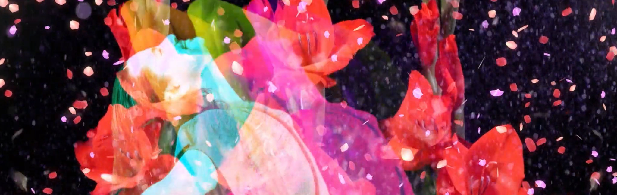 Visual Sovereignty Project