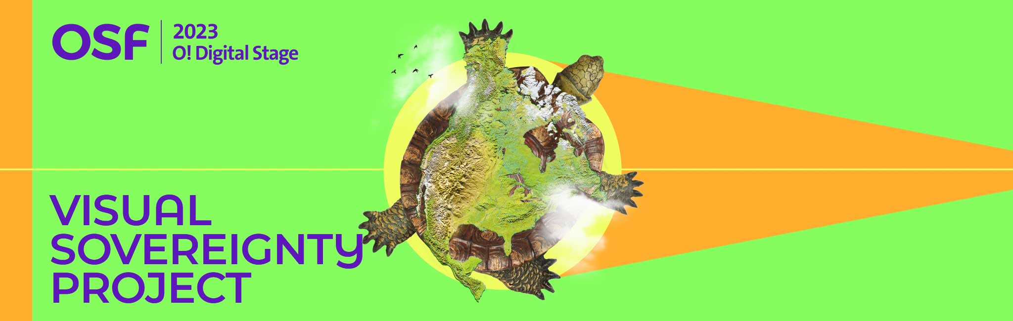 A computer graphic turtle with land displayed in its shell.