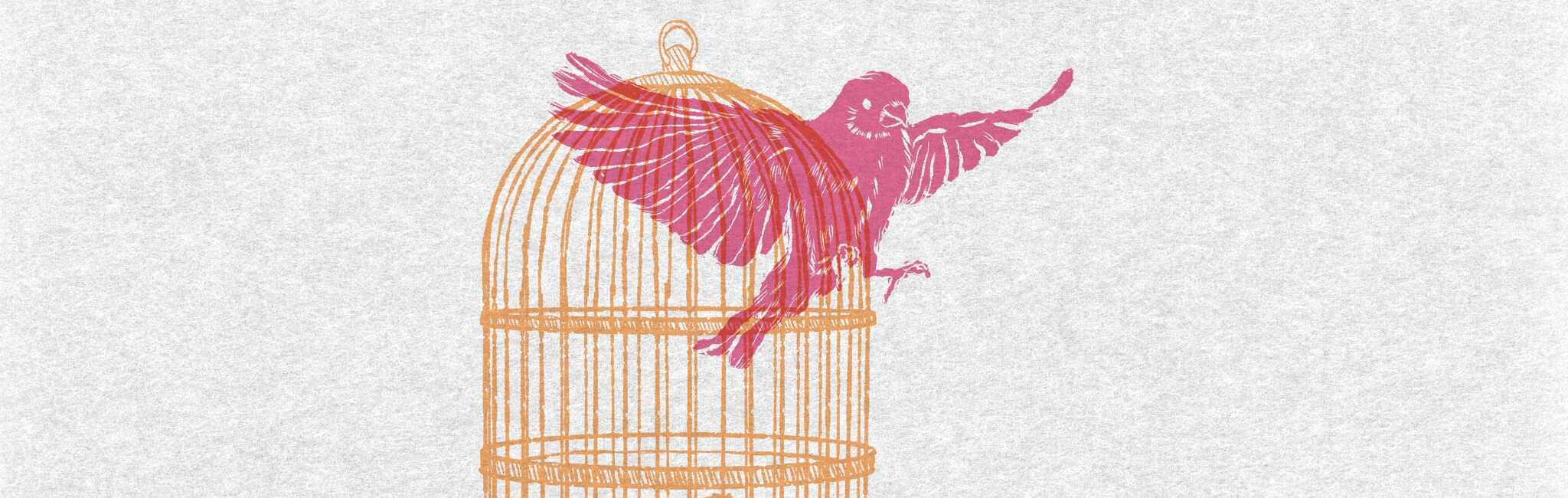 Pink bird flying out of a golden birdcage.