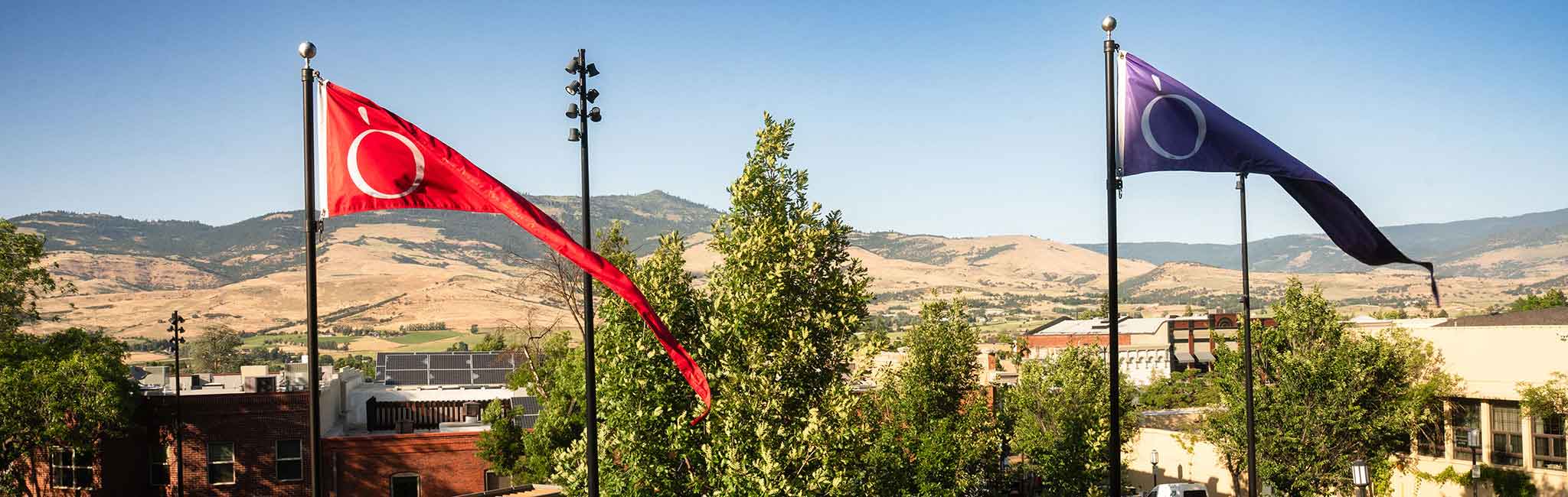 Two flags wave against a backdrop of sunlit hills and a clear blue sky. The left flag is red with a white circle and curved line, while the right is dark purple with a similar white design.