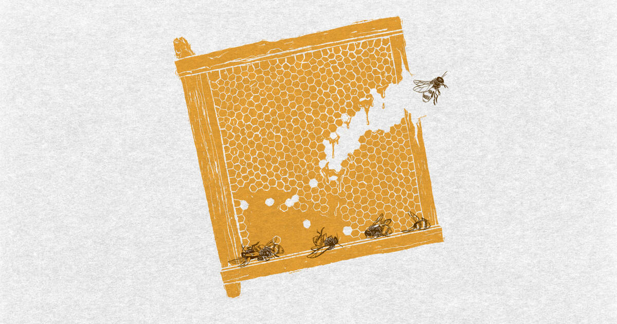 Golden honeycomb frame with bees flying around it.